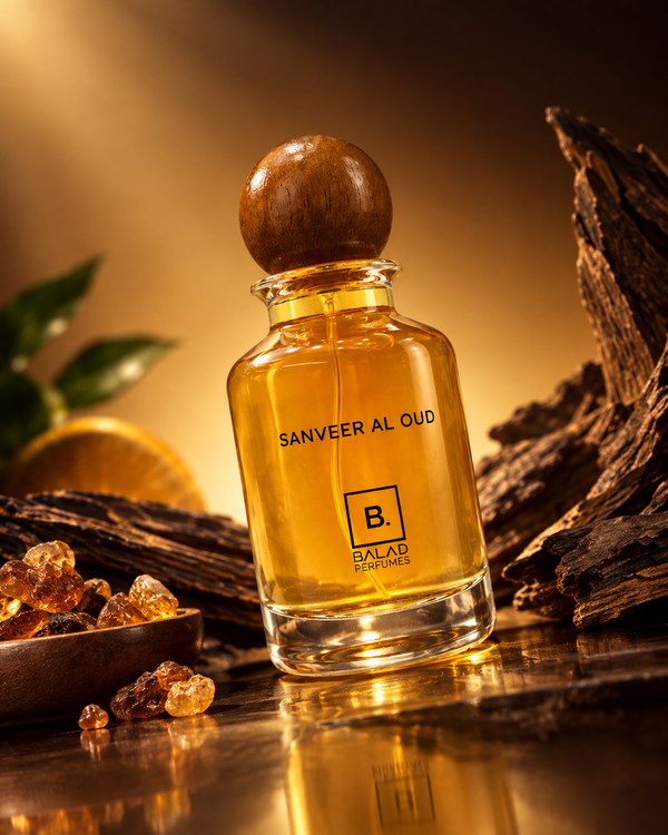 SANVEER AL OUD