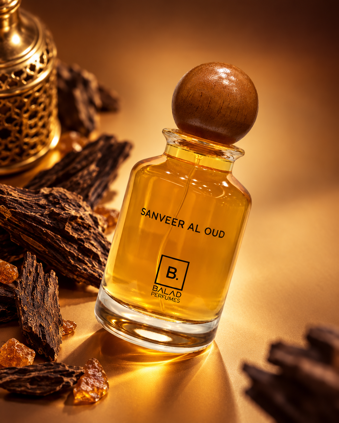 SANVEER AL OUD